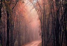 皇马连续丢分，卢卡斯·巴斯克斯成焦点