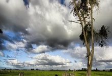 皇马连续丢分，卢卡斯·巴斯克斯成焦点