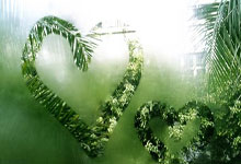 亚洲球队在国际比赛中一路高歌猛进