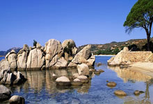 老鹰队华府双卫本季表现逐渐提升