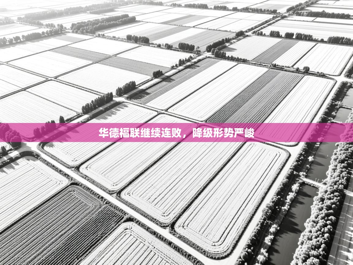 华德福联继续连败,降级形势严峻 第1张