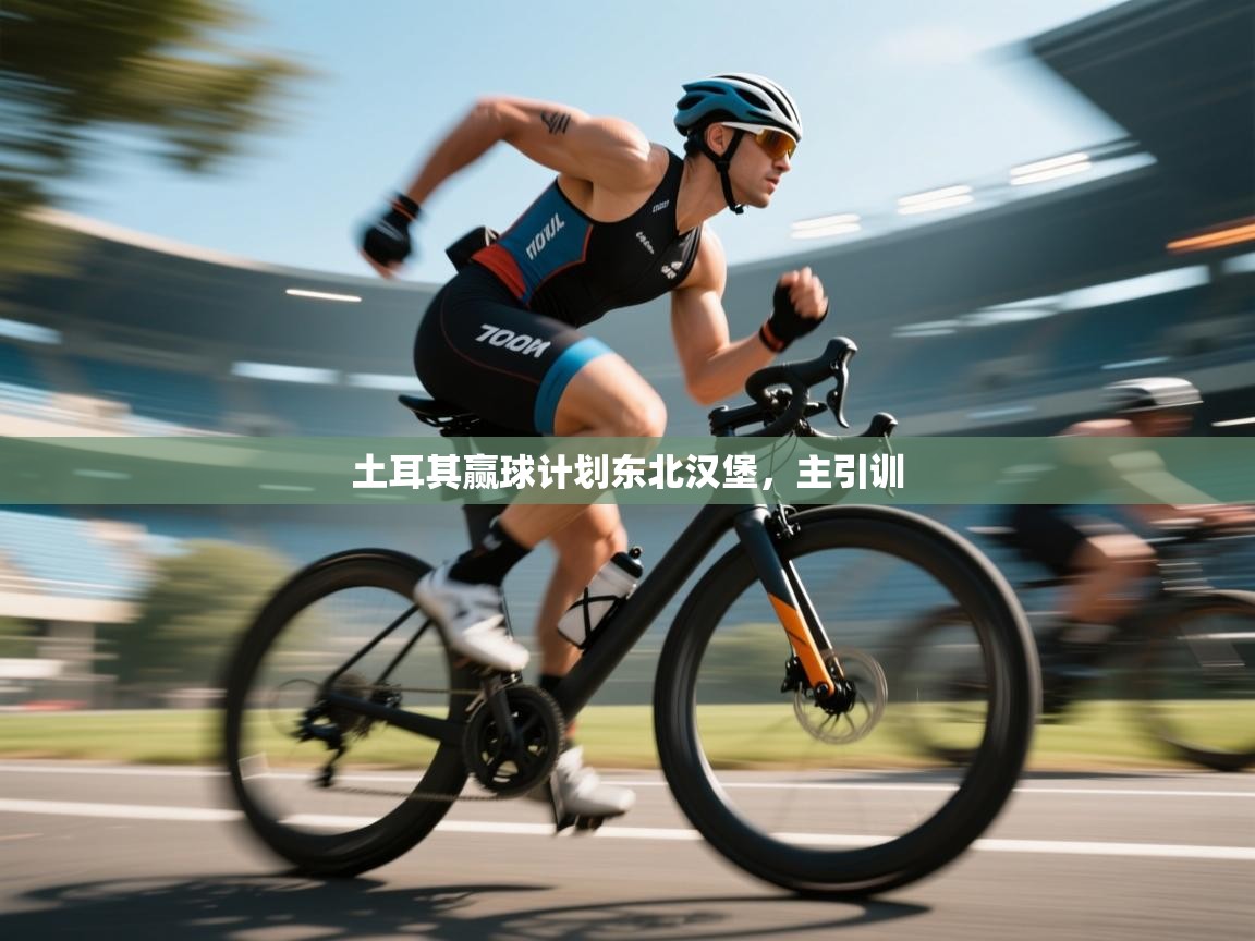 土耳其赢球计划东北汉堡，主引训