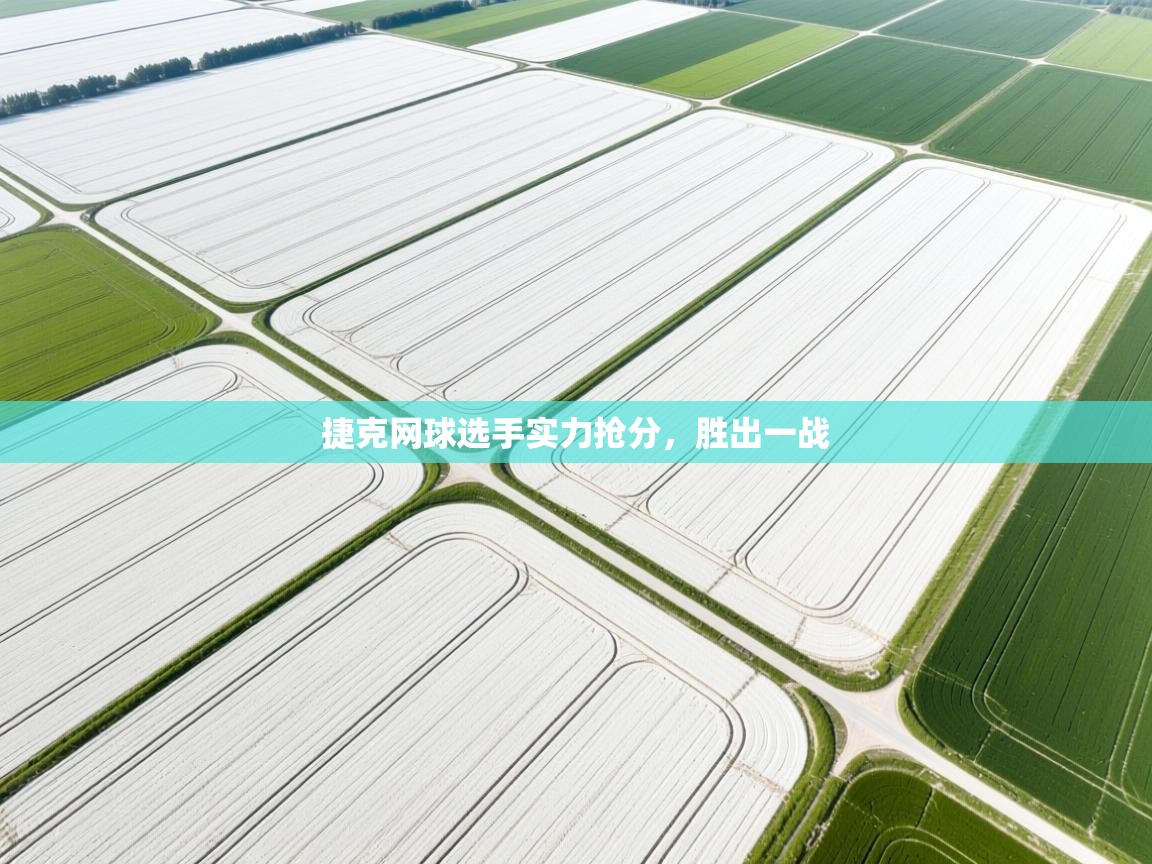 捷克网球选手实力抢分，胜出一战