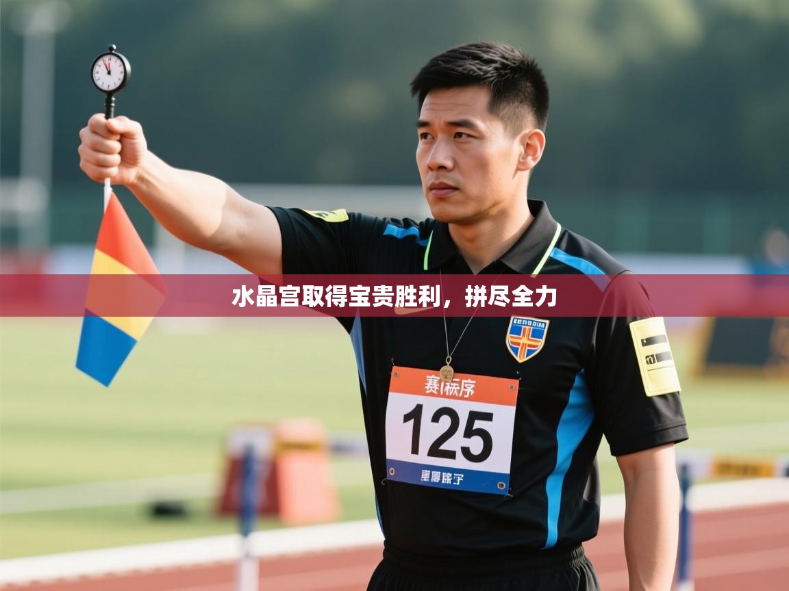 水晶宫取得宝贵胜利，拼尽全力  第2张